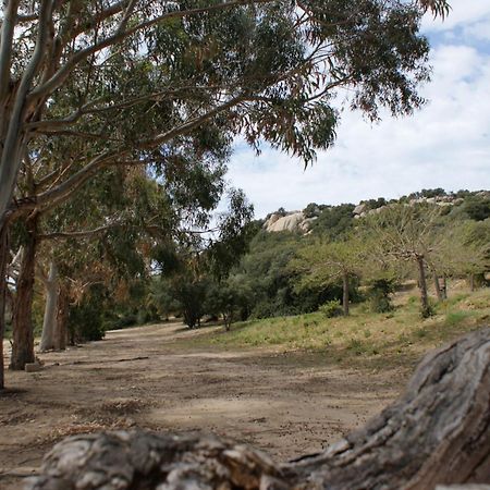 Belle Location Sur Lumio Avec Vue Remarquable Et Jardin Βίλα Εξωτερικό φωτογραφία