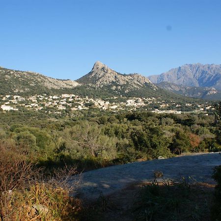 Belle Location Sur Lumio Avec Vue Remarquable Et Jardin Βίλα Εξωτερικό φωτογραφία