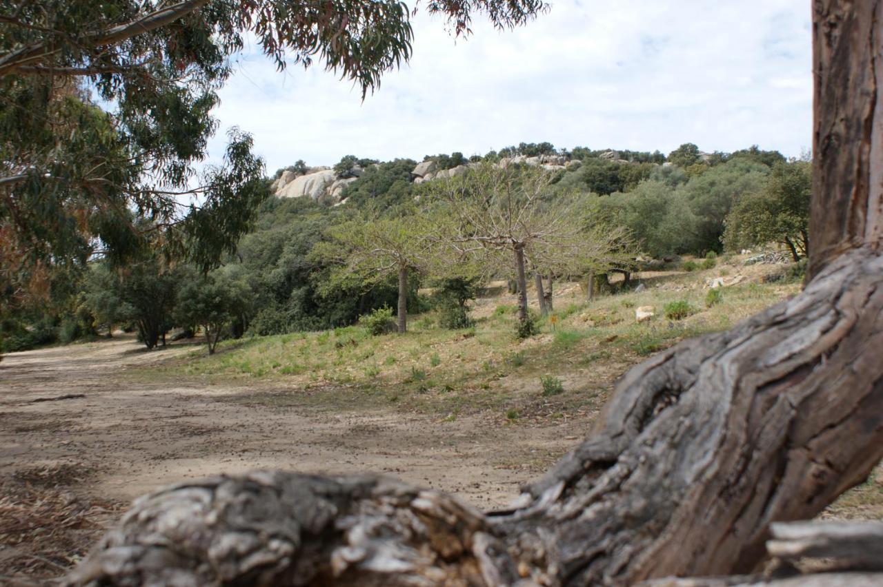 Belle Location Sur Lumio Avec Vue Remarquable Et Jardin Βίλα Εξωτερικό φωτογραφία
