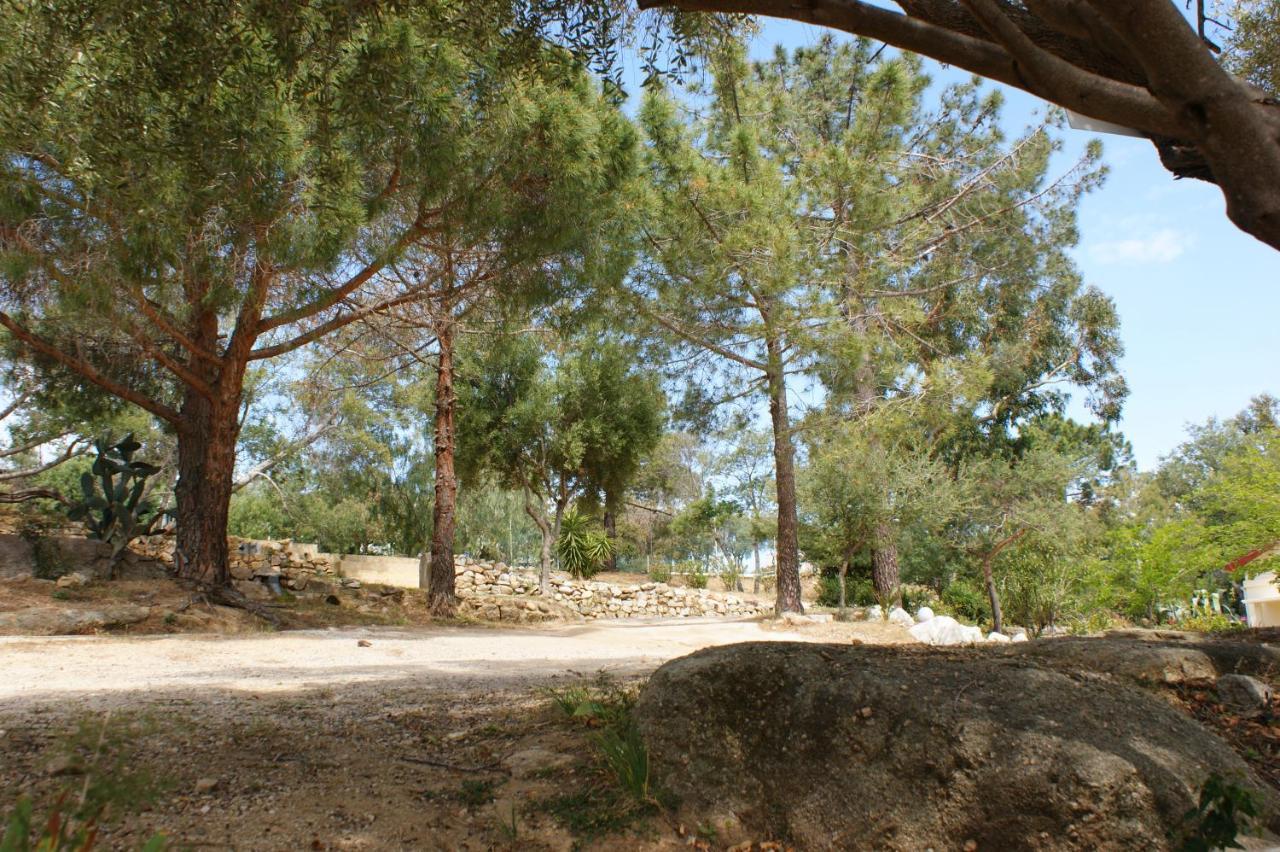 Belle Location Sur Lumio Avec Vue Remarquable Et Jardin Βίλα Εξωτερικό φωτογραφία