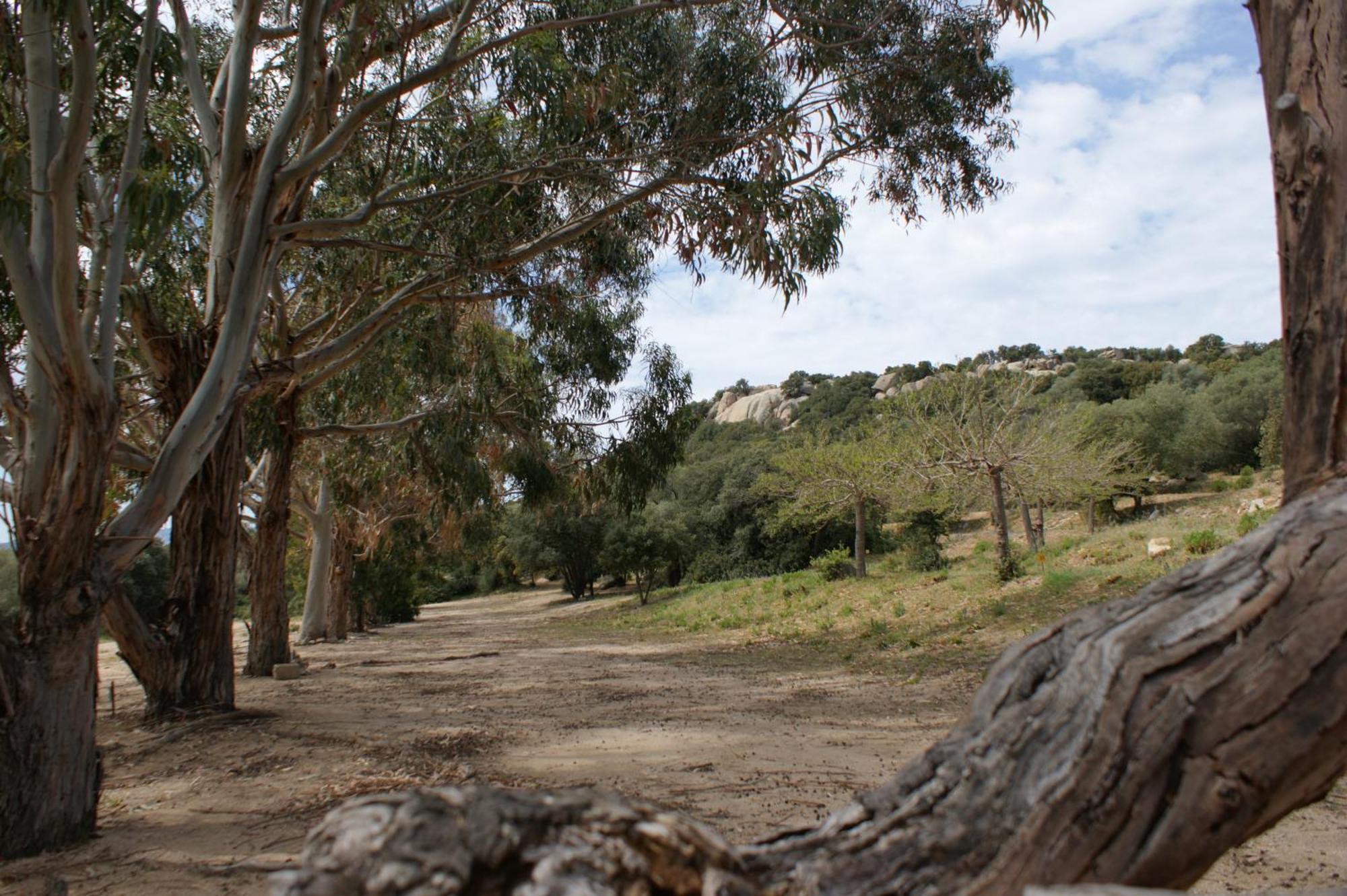 Belle Location Sur Lumio Avec Vue Remarquable Et Jardin Βίλα Εξωτερικό φωτογραφία